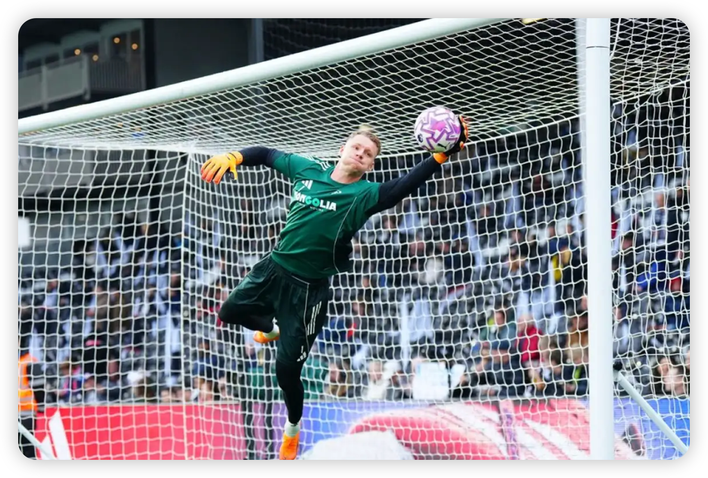 The Story of a Homecoming